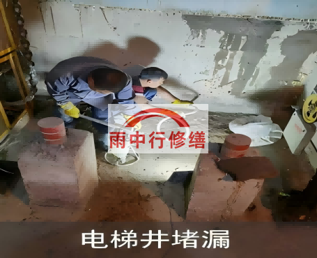 福建星雨华府电梯井堵漏案例